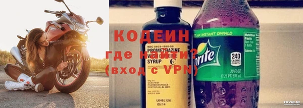 ГАЛЛЮЦИНОГЕННЫЕ ГРИБЫ Вязьма