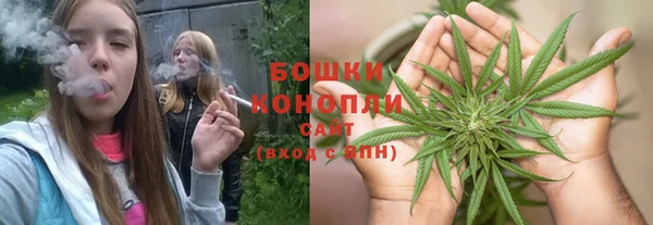 ГАЛЛЮЦИНОГЕННЫЕ ГРИБЫ Вязьма