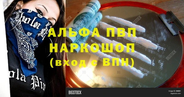 ECSTASY Вяземский