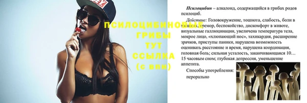 ГАЛЛЮЦИНОГЕННЫЕ ГРИБЫ Вязьма