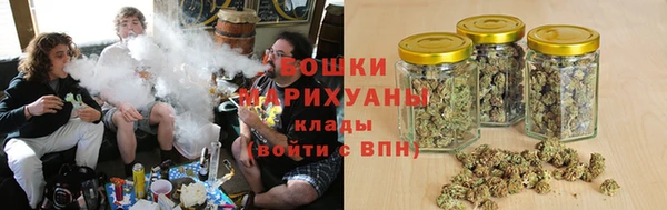 ГАЛЛЮЦИНОГЕННЫЕ ГРИБЫ Вязьма