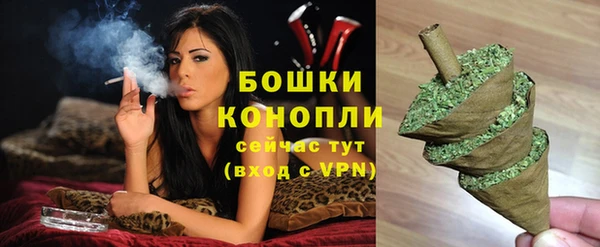 ГАЛЛЮЦИНОГЕННЫЕ ГРИБЫ Вязьма
