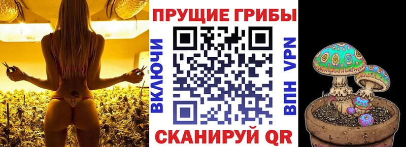 Псилоцибиновые грибы GOLDEN TEACHER  Ачинск 